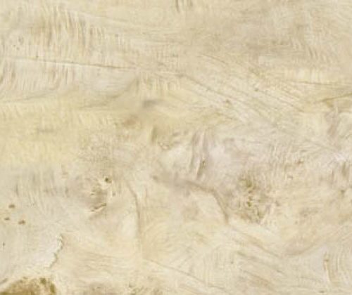 Arce 21x58